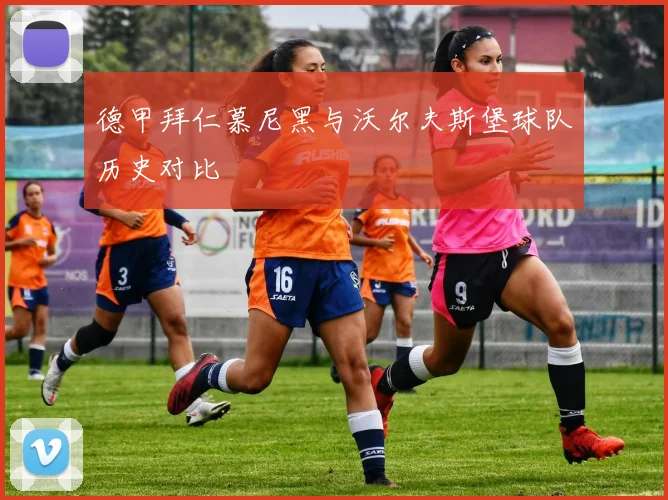 德甲拜仁慕尼黑与沃尔夫斯堡球队历史对比