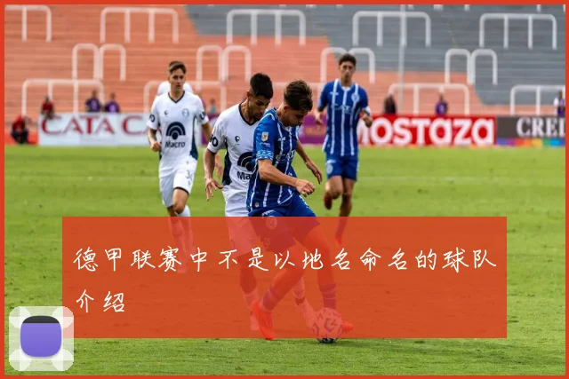 德甲联赛中不是以地名命名的球队介绍